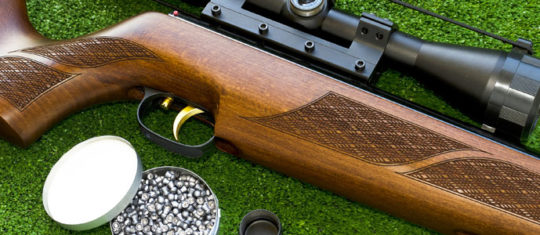 Carabine à plombs
