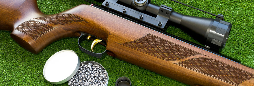Carabine à plombs